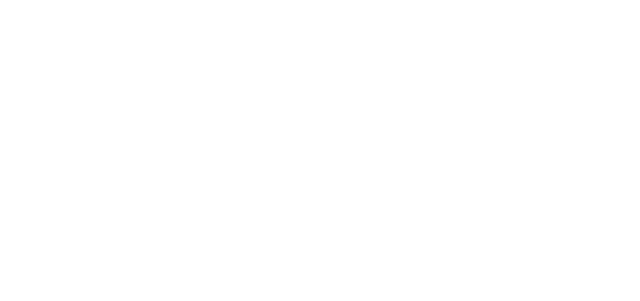 Project Maturity Group
